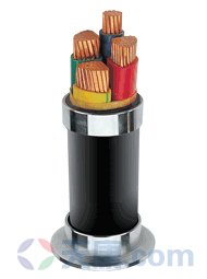 天康交聯(lián)聚乙烯絕緣電力